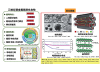 二維硫化物負極制備及其電化學性能